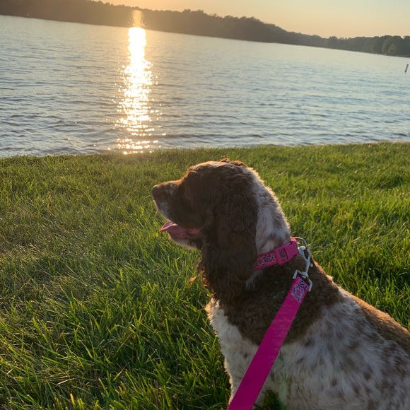 Meet your Posher, Keisha - Picture 2 of 5